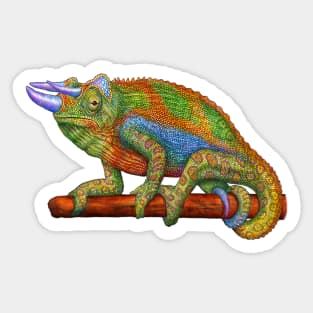 Jackon's Chameleon Sticker